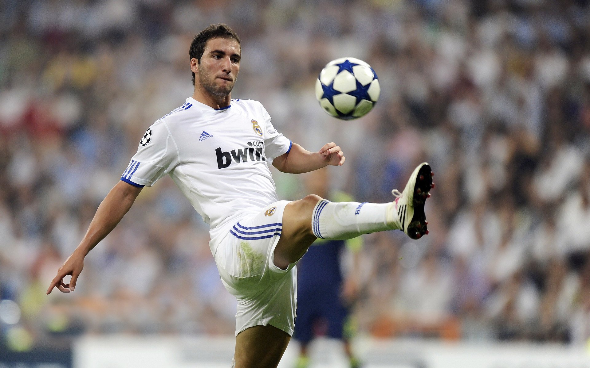 _国际合作:多国队伍联合开战,打造全球盛事_,第四节国际合作