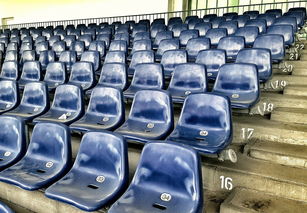 九游官网APP-竞彩市场火热，足球预测分析工具受追捧，竞彩足球预测推荐